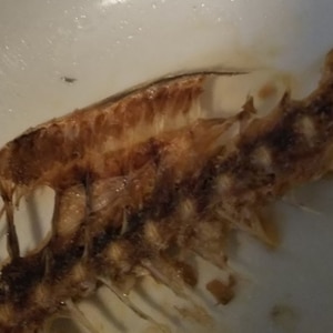 レンジでカリッカリ骨せんべい レシピ 作り方 By Marochan 楽天レシピ レンジでカリッカリ骨せんべい レシピ 作り方 By Marochan 楽天レシピ